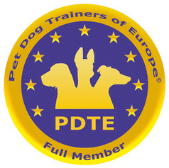 PDTE Logo 2014 FM RGB kl.jpeg