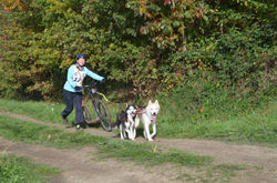 Chabrey 2022 sonnig 14 Grad