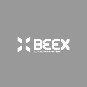 Autonomous assessment of underwater infrastructure