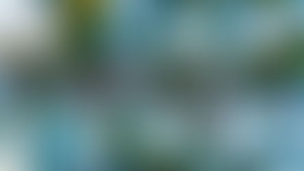 How to get into Venture Capital