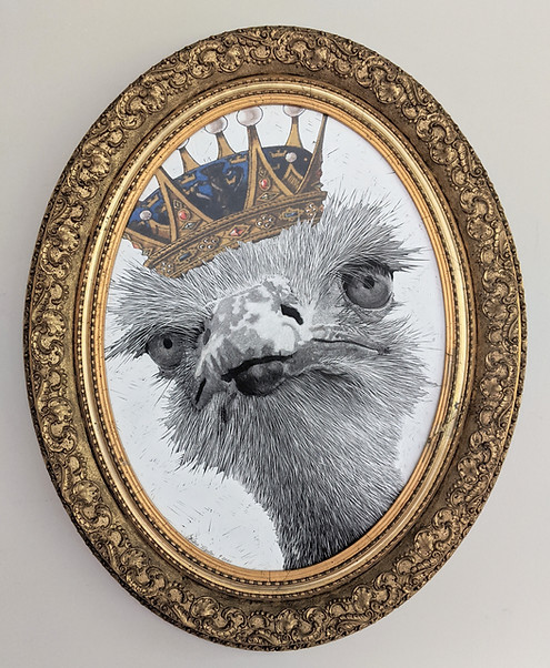 Ostrich with Crown.jpg