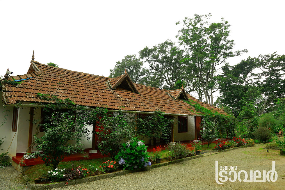 120 Year Old House Surrounded by Spice plantation in Munnar