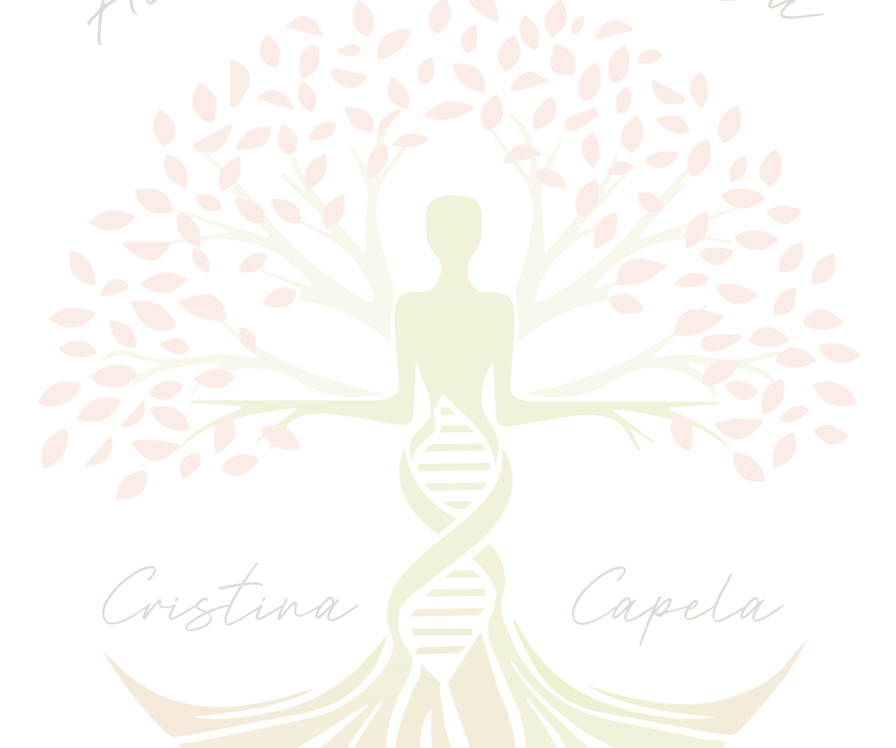 Logotipo Cores 20% PNG.png
