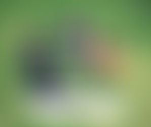 Inclusion Goes a Long Way.