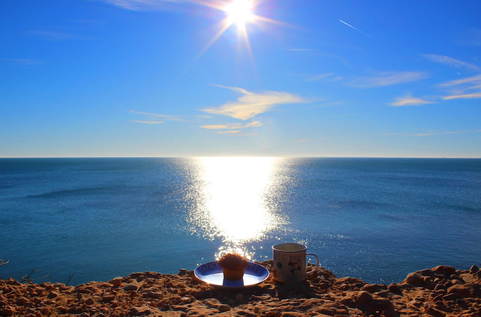 coastal morning sunshine.jpg