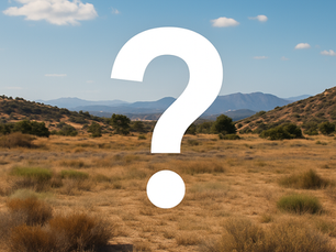 Inherited Land? Here’s What to Do When You Don’t Know Where to Start