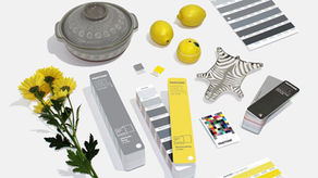 2021 PANTONE COLOR(S):ULTIMATE GRAY + ILLUMINATING