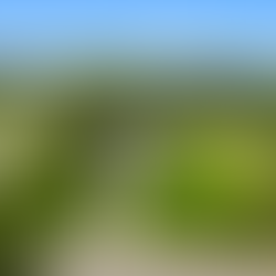 Exterior aerial view of a two-story gray house with a one-car garage on a large green lot, with a curved gravel driveway leading to a road. Neighboring homes, utility lines, and wooded hills are seen in the distance