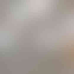 Empty single-car garage with unfinished drywall, concrete floor, overhead garage door and opener, and a small wooden step leading through an interior doorway into the house.