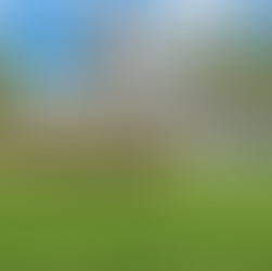 Rear exterior view of a single-story, light-green house in Canadensis, PA with a long wooden deck and steps, with multiple sliding glass doors and windows, set on a wide green lawn with trees.