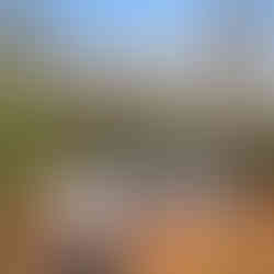 Elevated exterior view of a single-story house in Reeders, PA with a gray-shingled roof with leaf piles, blue vinyl siding over stone veneer, an attached two-car garage with a white door and exterior lights. There is an asphalt driveway leading up the the garage, and there are bare trees surrounding the property.