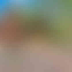 Exterior view of a brick chimney attached to a house with a large screened-in porch in Pocono Pines, PA. The porch has a wooden staircase leading up to it, and the ground surrounding the area is covered with gravel and scattered rocks. In the foreground, there's a circular fire pit made of stones. Behind the house, there are trees.