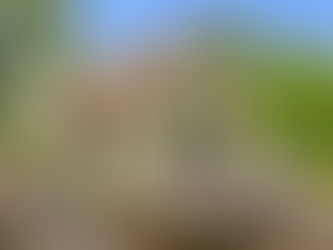 Exterior view of a beige A-frame cabin chalet in Pocono Lake, PA with a brown shingle roof and large gable windows, with an elevated wraparound deck with white railings, placed among green trees on a wooded lot.