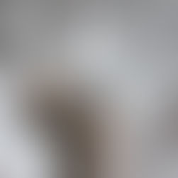 Chapple Home Design for Short-term Rental in Pocono Lake