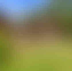 Exterior angled view of a brown wood-sided house in Tobyhanna, Pennsylvania, with a sunroom addition, large windows, and a gable roof. A small wooden deck with glass double doors connects the original structure to the addition. The home is surrounded by a green lawn, mature trees, and landscaped shrubbery.