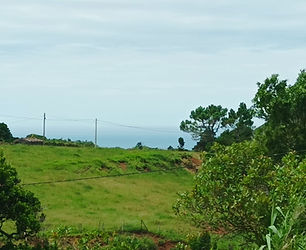 Land with Ruin (House) on Santa Maria Island