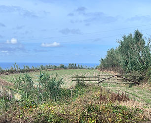 Land near the natural pools
