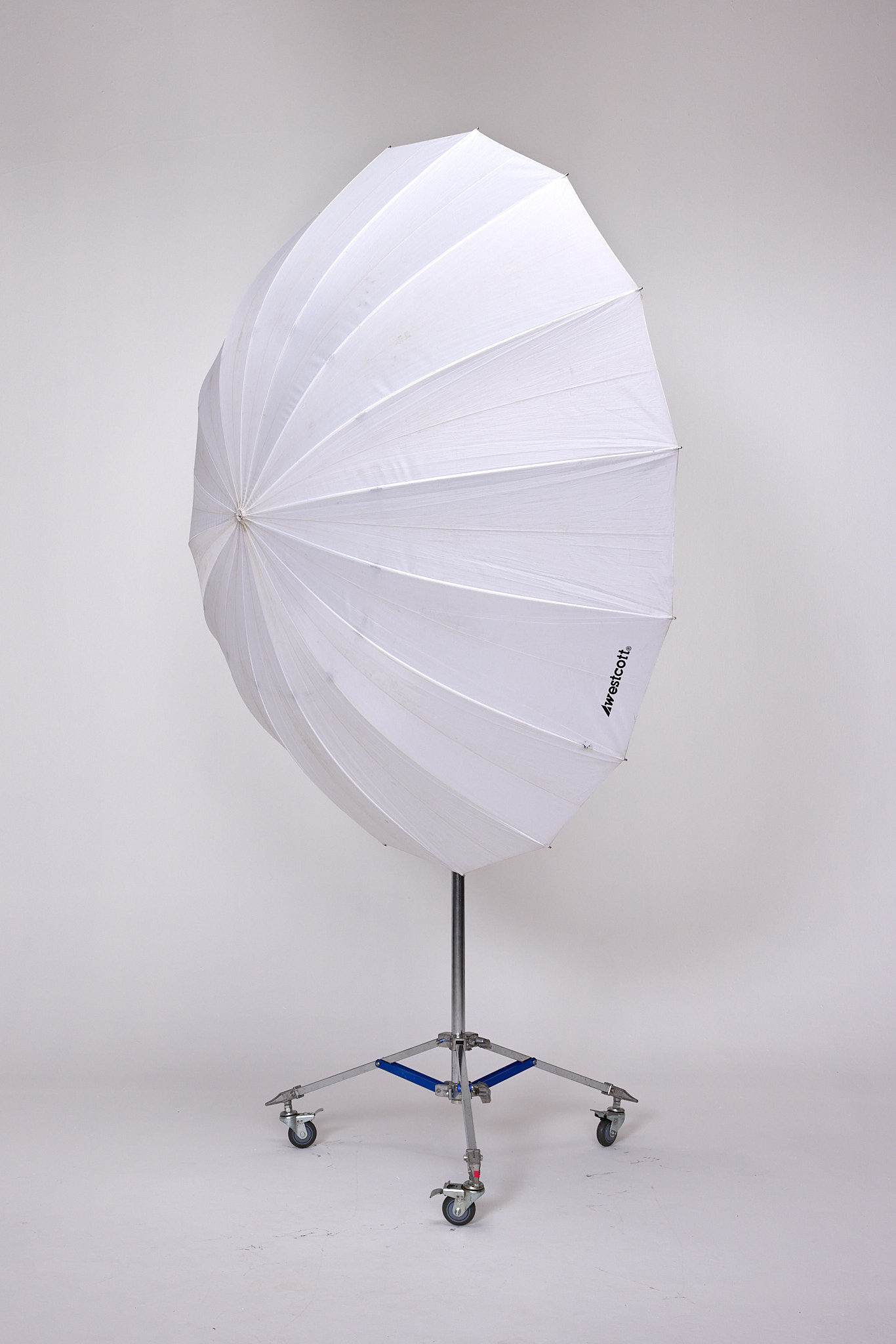 XL TRANSLUCIDA WESTCOTT