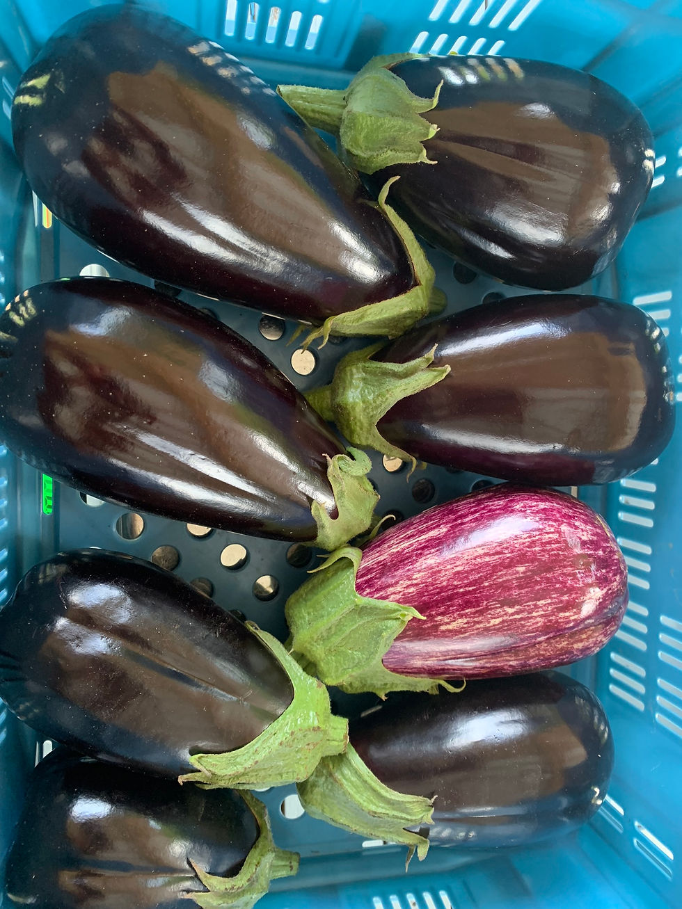 Aubergines noires, F. De Kestemont (par 100g)