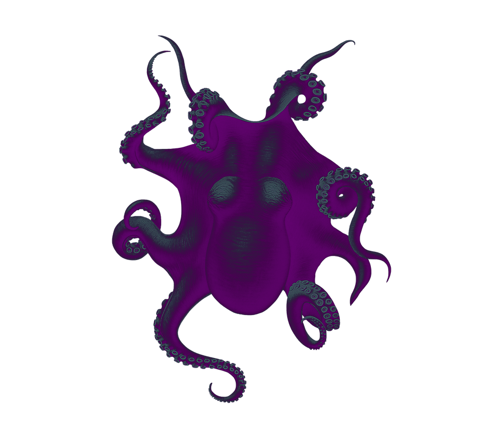 Purple Octopus