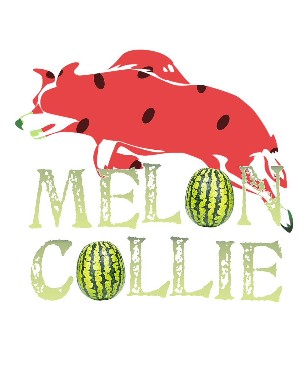 Melon Collie Skateboard Trick