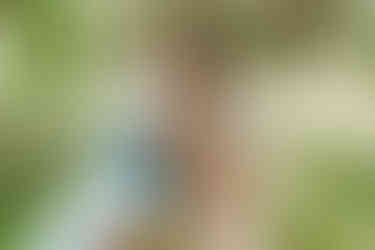 Shooting grossesse en forêt Oise Delphine Pitar photographe