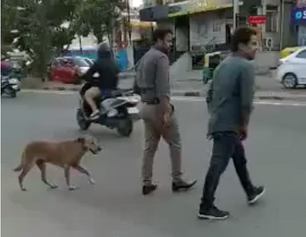 Smart streeties cross streets!
