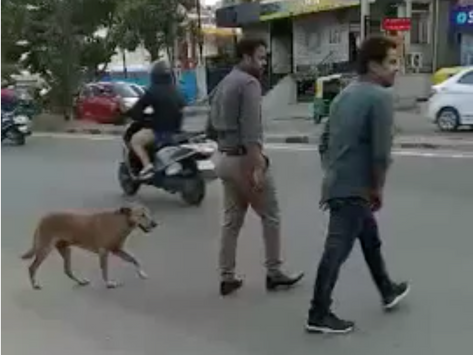 Smart streeties cross streets!