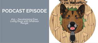 Out of the Woofworks, Rachael Forday chats with Sindhoor Pangal