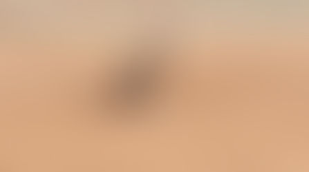 We are launching a new study!