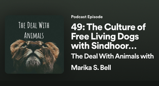 The Deal With Animals, Marika Bell chats with Sindhoor Pangal