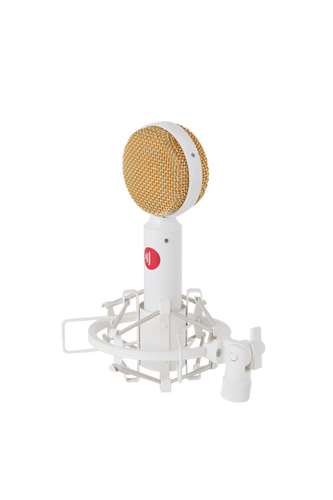 DS-65 Large Diaphragm Condenser Microphone | DirectSoundProAudio