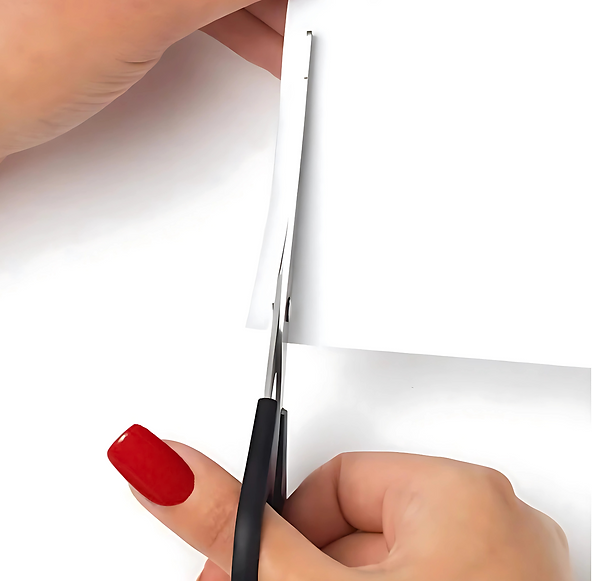 Untitled (2048 x 1024 px) (2048 x 2048 px)-13.png