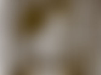 Kit Siang dan Pemimpin PH Diseru Mohon Maaf Kepada Najib Berkaitan Kes Morais