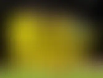 Harimau Malaya Tarik Diri Dari Piala CAFA Nations Cup 2025 Seiring Fokus Kelayakan Piala Dunia 2027