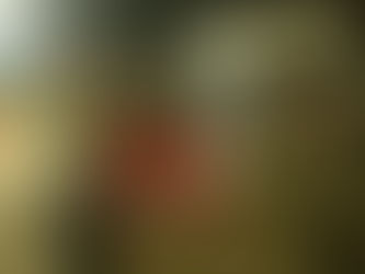 JPJ Tegas Laksana Ops VEP, Hampir RM450,000 Nilai Saman Direkodkan