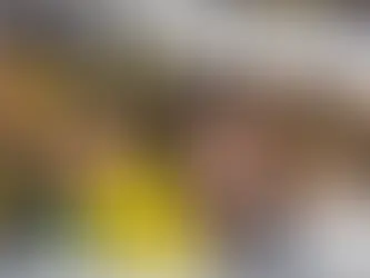 Kemenangan Bergaya Harimau Malaya: Hannah Ucap Terima Kasih kepada TMJ dan PM