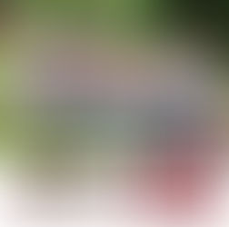 We're thrilled to share the results of this roofing project!