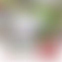 Roof transformation alert! 