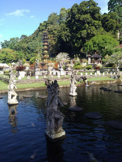 water pond