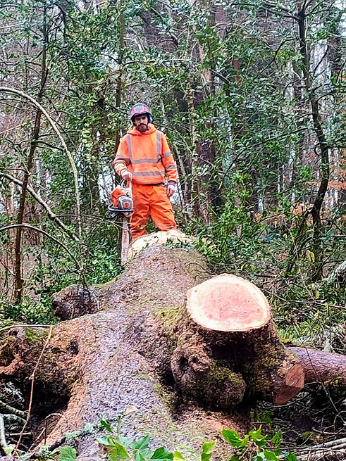 WhatsApp Image 2026-02-07 at 19.17.55.jpeg