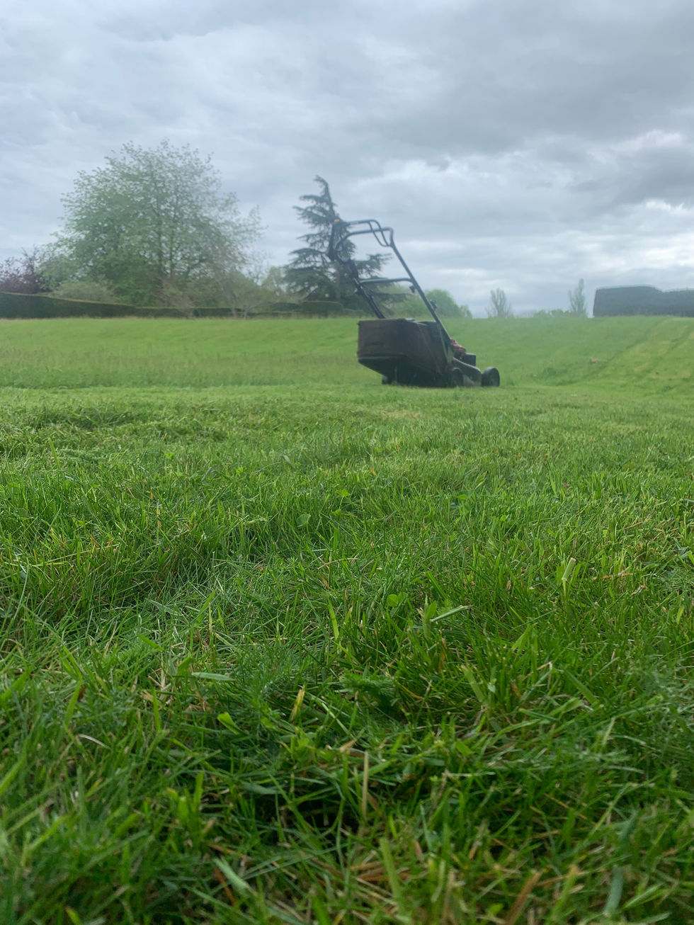 lawn Mowing