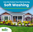 How We Protect Your Plants During Soft Washing