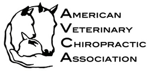 American Veterinary Chiropractic Association Logo.png