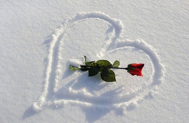 Bise de neige