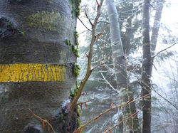Chemin