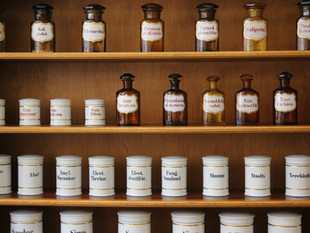 מתי נשתמש בצמחי מרפא