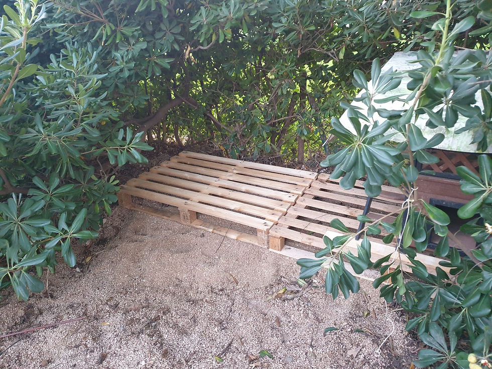 "Humble Beginnings"