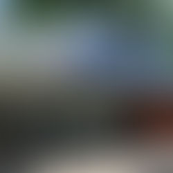 Raridade médica em Vila Velha: nascimento de gêmeos siameses mobiliza hospital e chama atenção no ES.