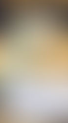 Operação Nêmesis: PF apreende milhões e desmonta esquema de corrupção entre ES e BA.